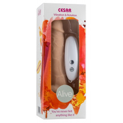 Телесный вибратор-ротатор на присоске Cesar Vibrator Rotator - 17,5 см.