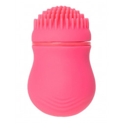 Розовый стимулятор клитора PPP CURU-CURU BRUSH ROTER Розовый стимулятор клитора PPP CURU-CURU BRUSH ROTER